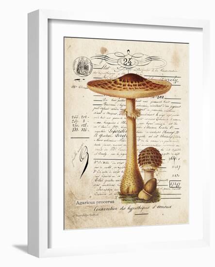 Mushroom I-Gwendolyn Babbitt-Framed Art Print