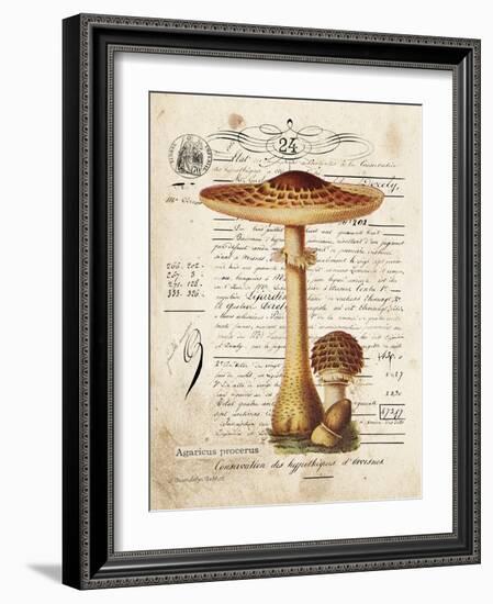 Mushroom I-Gwendolyn Babbitt-Framed Art Print