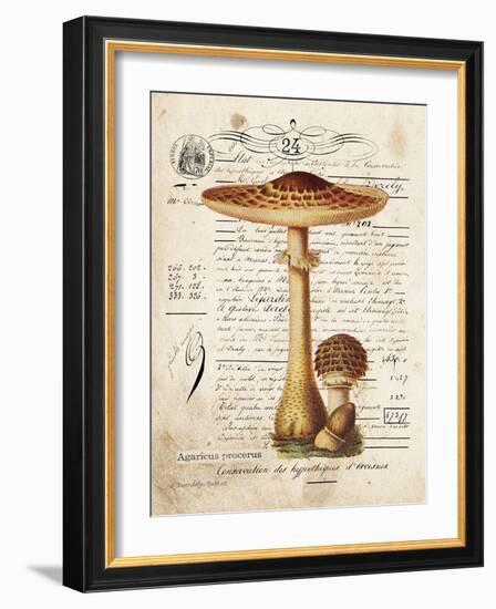 Mushroom I-Gwendolyn Babbitt-Framed Art Print