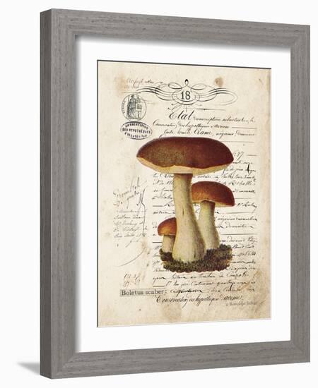 Mushroom II-Gwendolyn Babbitt-Framed Art Print