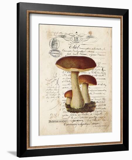 Mushroom II-Gwendolyn Babbitt-Framed Art Print