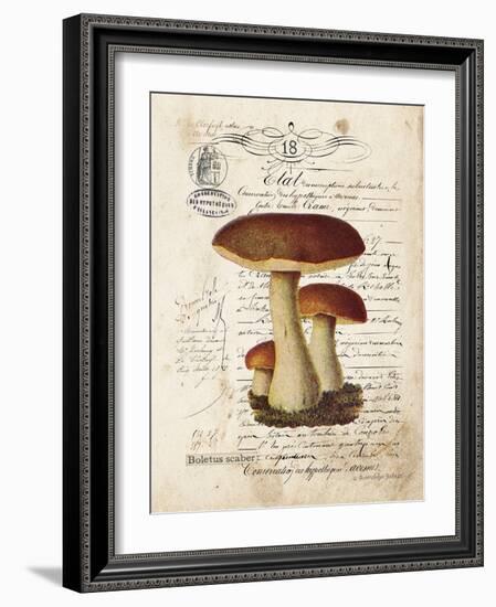 Mushroom II-Gwendolyn Babbitt-Framed Art Print