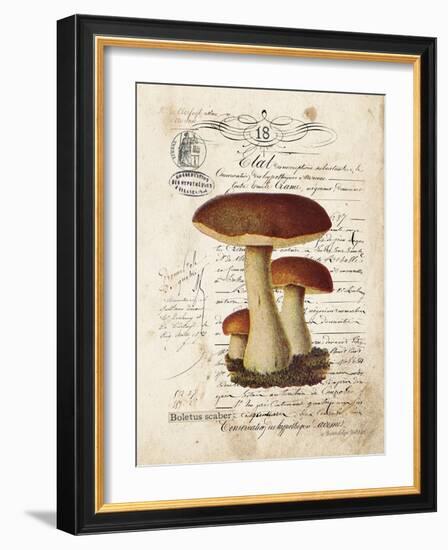 Mushroom II-Gwendolyn Babbitt-Framed Art Print