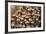Mushroom in Rainforest-beejung-Framed Photographic Print