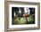 Mushroom in the undergrowth with moss, Trentino-Alto Adige, Italy, Europe-Francesco Fanti-Framed Photographic Print