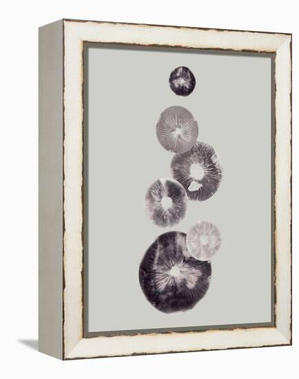 Mushroom Light Grey-Pernille Folcarelli-Framed Stretched Canvas