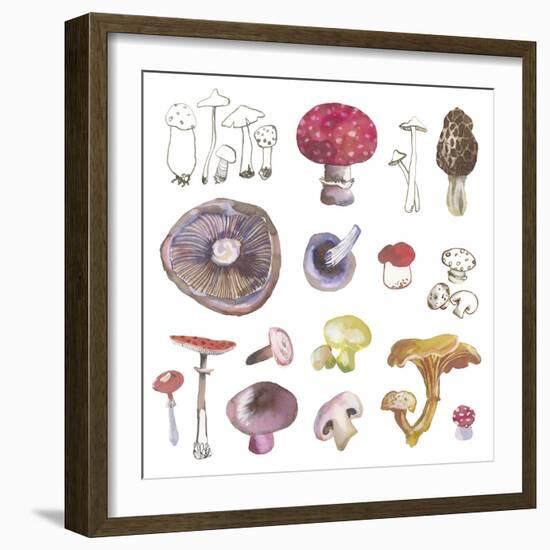 Mushroom Medley-Sandra Jacobs-Framed Giclee Print
