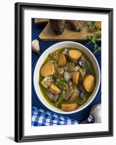 Mushroom Soup (Boletus Edulis), Italy, Europe-Nico Tondini-Framed Photographic Print