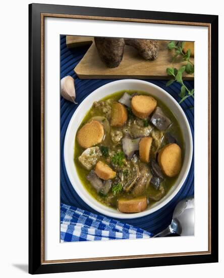 Mushroom Soup (Boletus Edulis), Italy, Europe-Nico Tondini-Framed Photographic Print