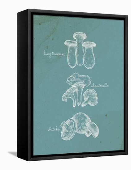 Mushroom Teal 1-Anne Bailey-Framed Stretched Canvas