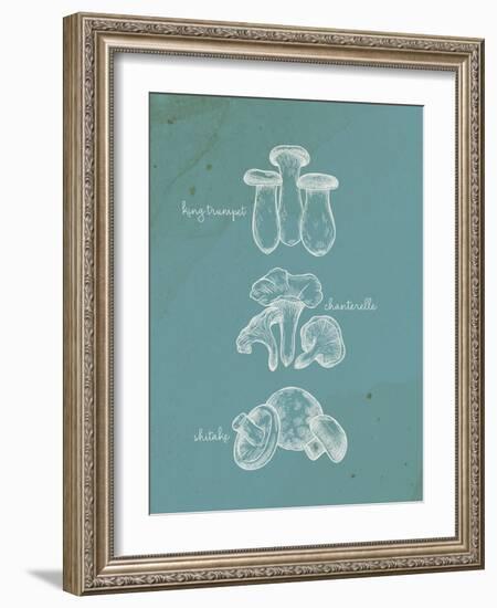 Mushroom Teal 1-Anne Bailey-Framed Art Print