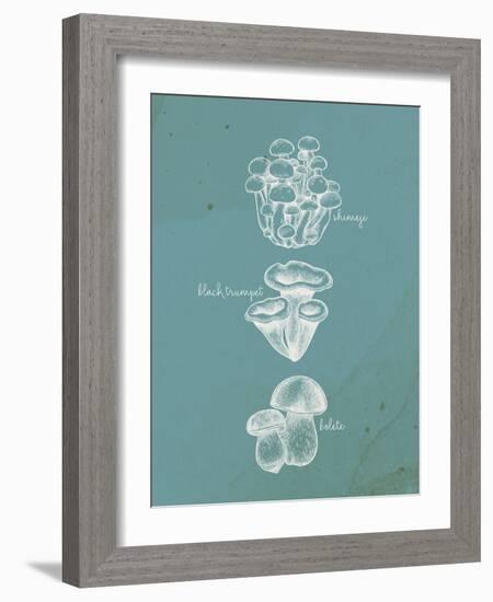 Mushroom Teal 2-Anne Bailey-Framed Art Print