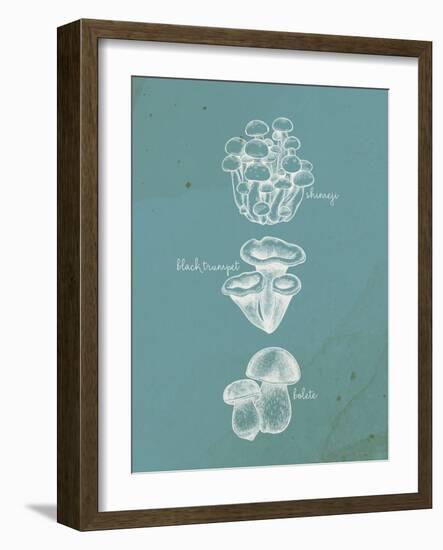 Mushroom Teal 2-Anne Bailey-Framed Art Print