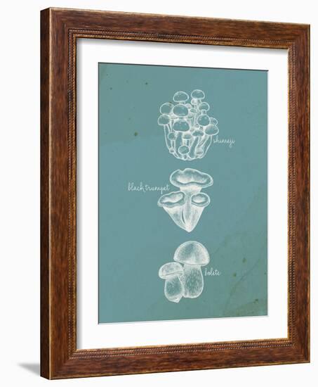 Mushroom Teal 2-Anne Bailey-Framed Art Print