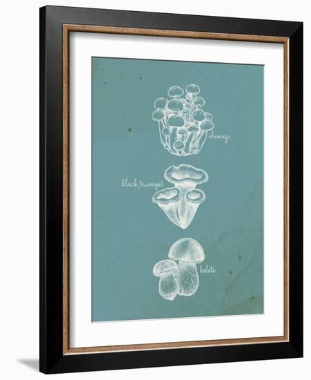 Mushroom Teal 2-Anne Bailey-Framed Art Print