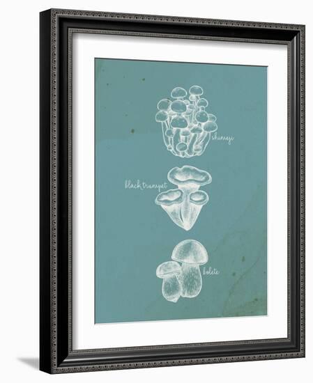 Mushroom Teal 2-Anne Bailey-Framed Art Print