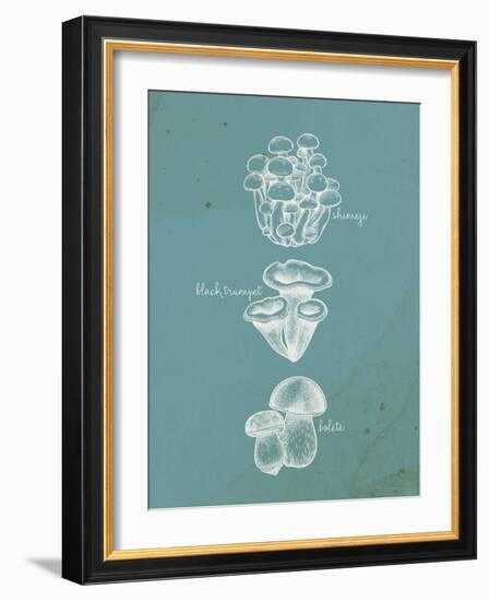 Mushroom Teal 2-Anne Bailey-Framed Art Print