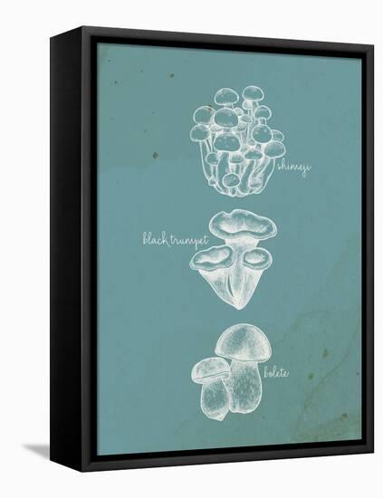 Mushroom Teal 2-Anne Bailey-Framed Stretched Canvas