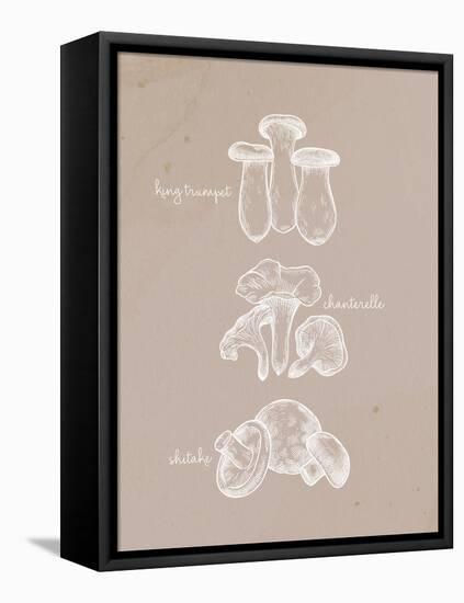 Mushrooms 1-Anne Bailey-Framed Stretched Canvas