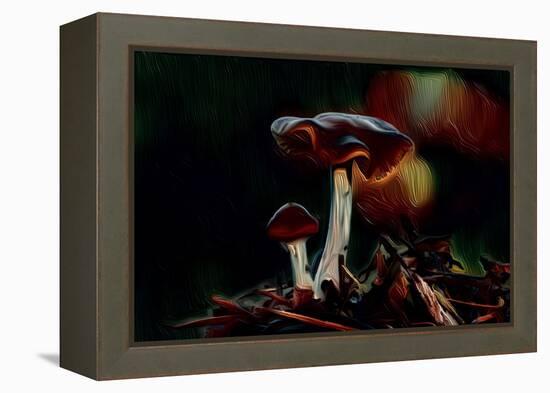 Mushrooms, 2021, (digital)-Scott J. Davis-Framed Premier Image Canvas