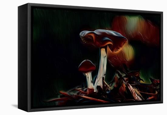 Mushrooms, 2021, (digital)-Scott J. Davis-Framed Premier Image Canvas