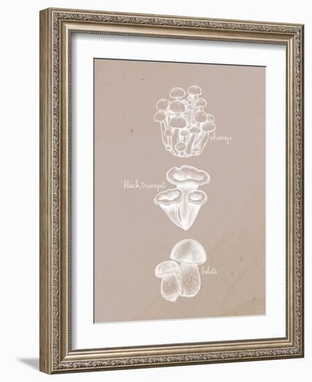 Mushrooms 2-Anne Bailey-Framed Art Print