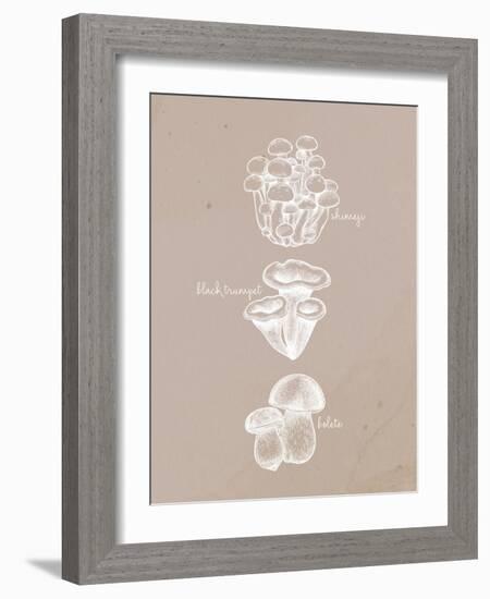 Mushrooms 2-Anne Bailey-Framed Art Print