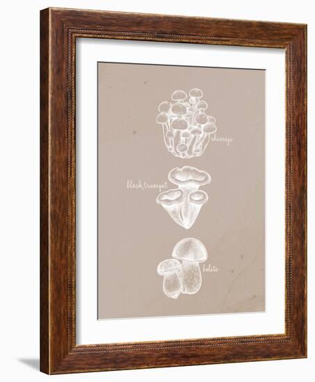 Mushrooms 2-Anne Bailey-Framed Art Print