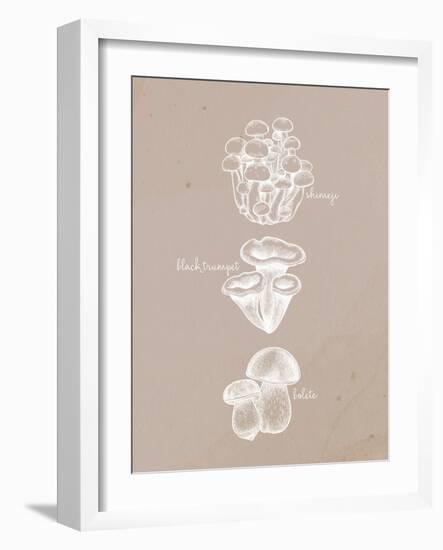 Mushrooms 2-Anne Bailey-Framed Art Print