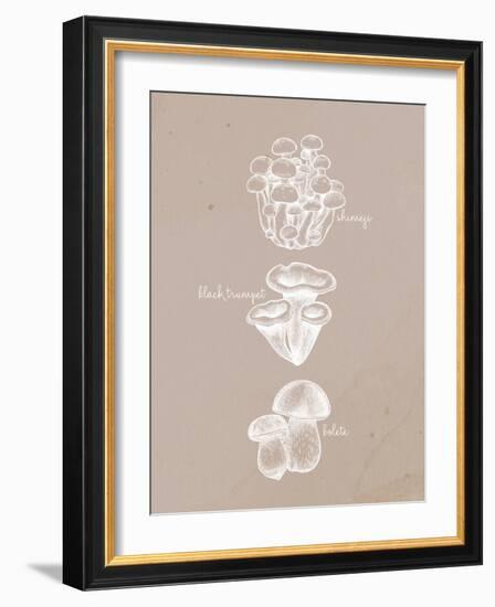 Mushrooms 2-Anne Bailey-Framed Art Print