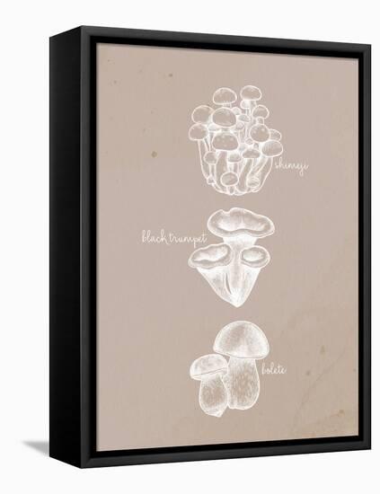 Mushrooms 2-Anne Bailey-Framed Stretched Canvas