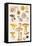 Mushrooms and Truffles-Elizabeth Rice-Framed Premier Image Canvas