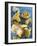 Mushrooms, Chanterelles, (Cantharellus Cibarius), Italy-Nico Tondini-Framed Photographic Print