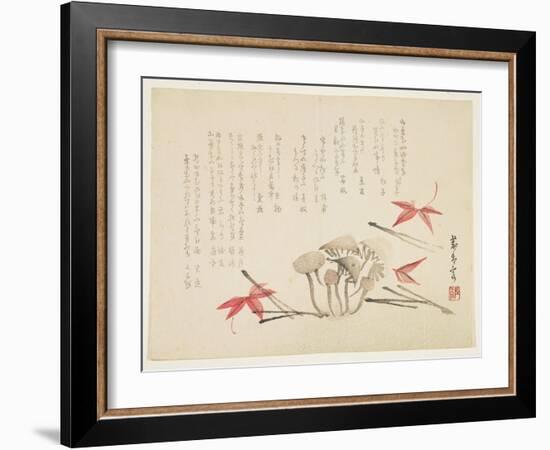 Mushrooms, Maple Leaves and Pine Needles-null-Framed Giclee Print