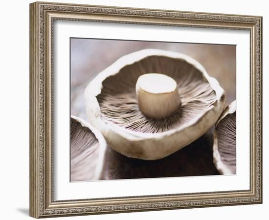 Mushrooms-Lee Frost-Framed Photographic Print