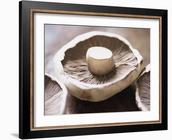 Mushrooms-Lee Frost-Framed Photographic Print