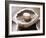 Mushrooms-Lee Frost-Framed Photographic Print