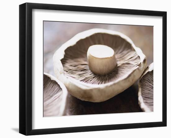 Mushrooms-Lee Frost-Framed Photographic Print