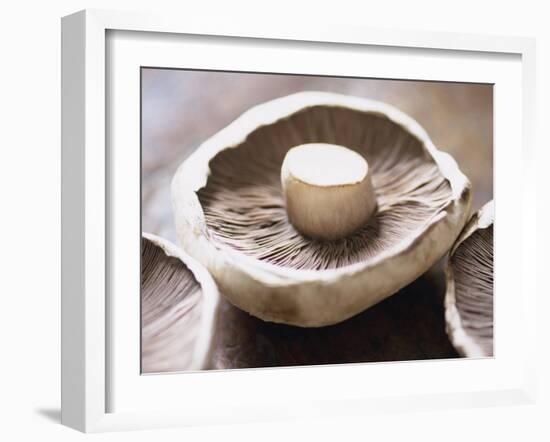 Mushrooms-Lee Frost-Framed Photographic Print