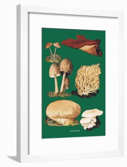 Mushrooms-null-Framed Art Print