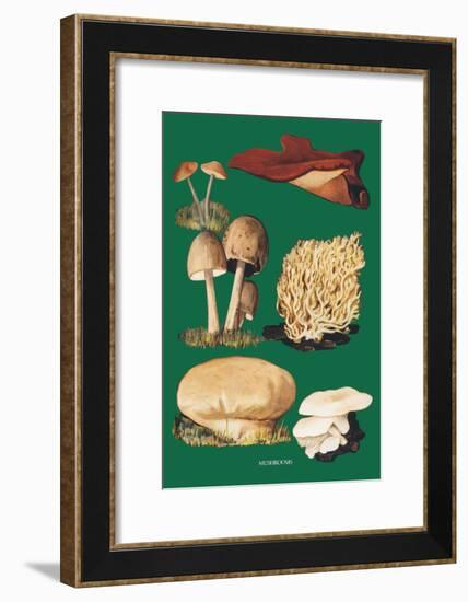 Mushrooms-null-Framed Art Print