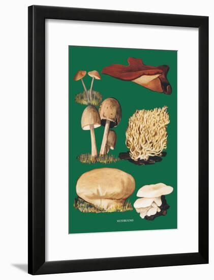 Mushrooms-null-Framed Art Print