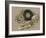 Mushrooms-Barbara Keith-Framed Giclee Print