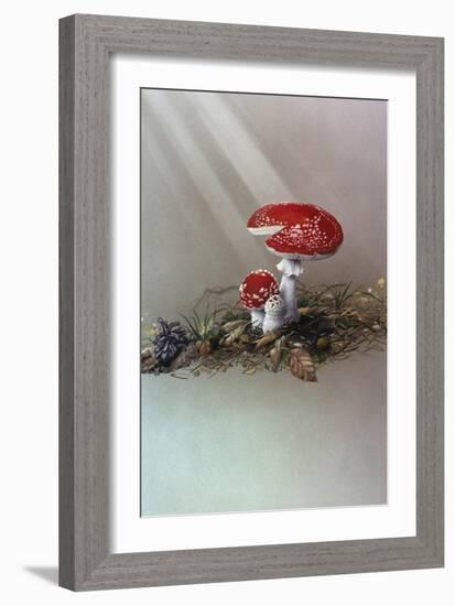 Mushrooms-Harro Maass-Framed Giclee Print