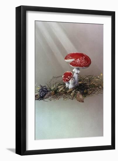 Mushrooms-Harro Maass-Framed Giclee Print