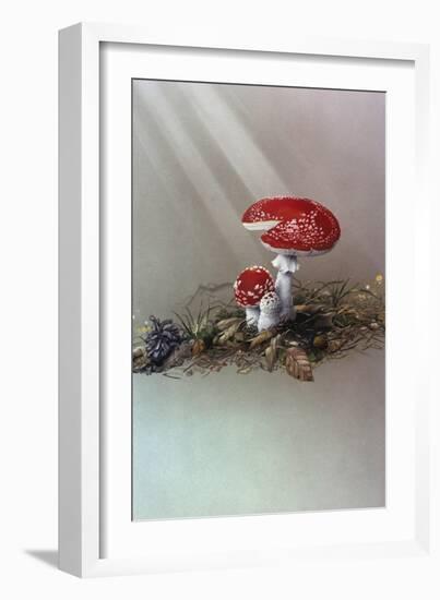 Mushrooms-Harro Maass-Framed Giclee Print