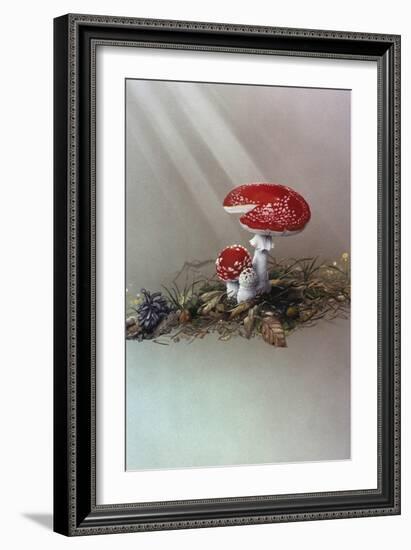 Mushrooms-Harro Maass-Framed Giclee Print
