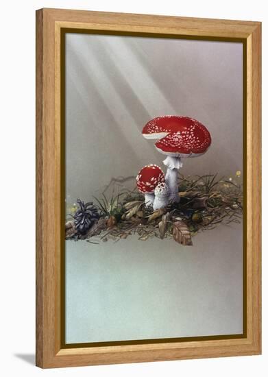 Mushrooms-Harro Maass-Framed Premier Image Canvas