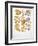 Mushrooms-null-Framed Giclee Print