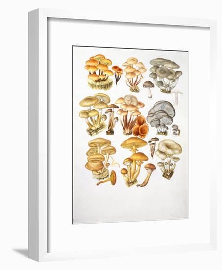 Mushrooms-null-Framed Giclee Print